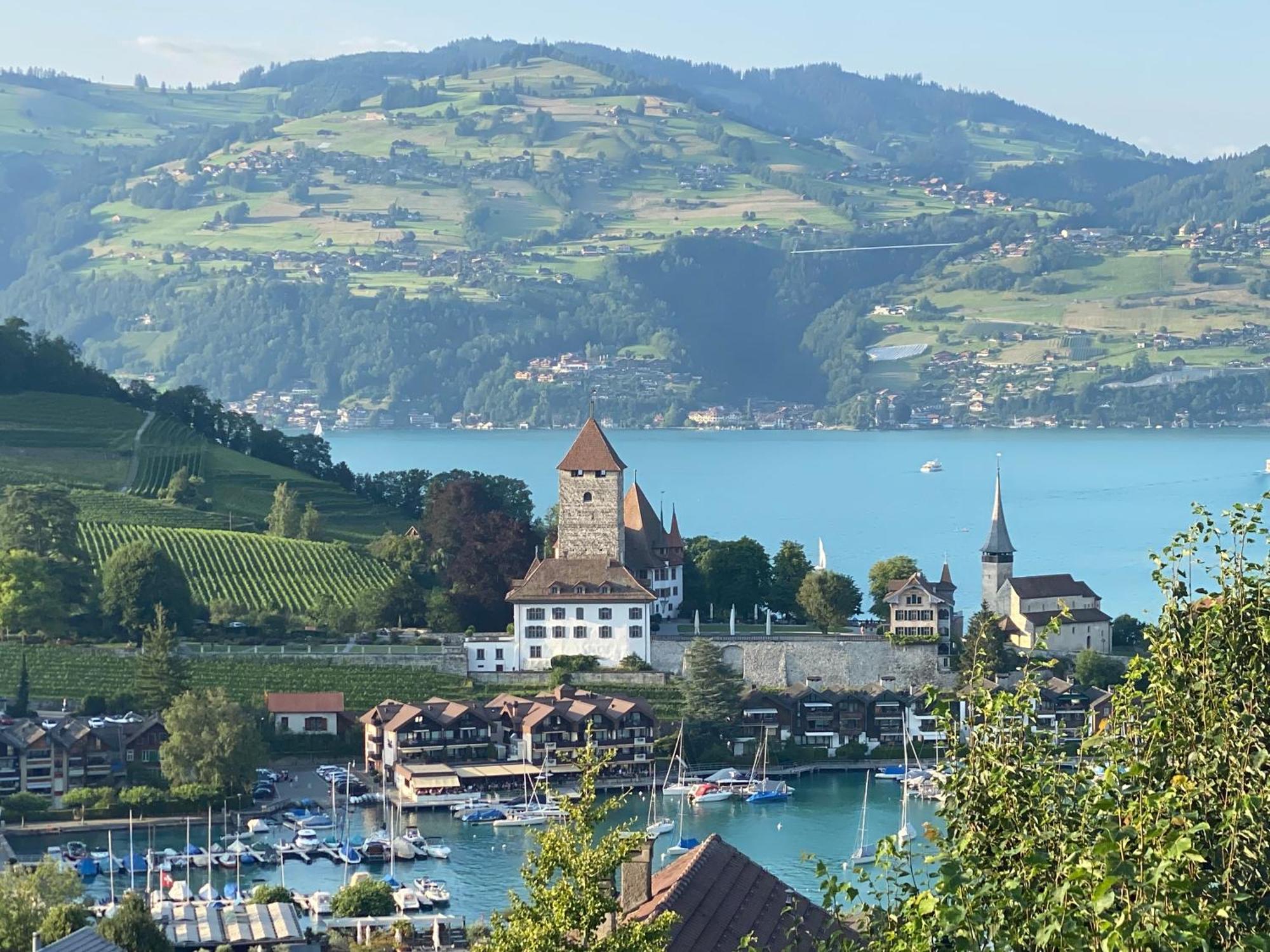 Herrlicher Blick Auf Berge Und See Faulensee Eksteriør bilde