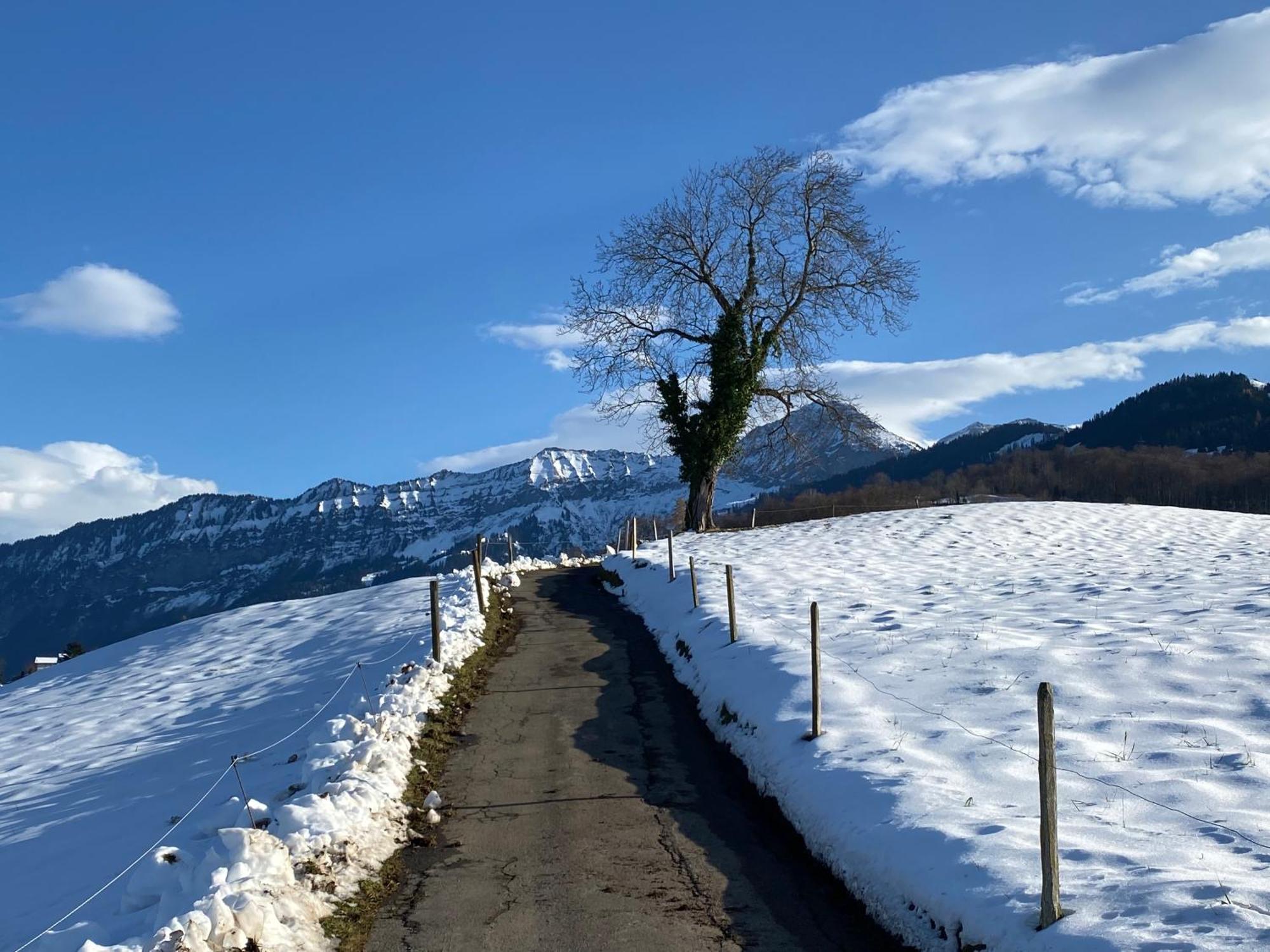 Herrlicher Blick Auf Berge Und See Faulensee Eksteriør bilde